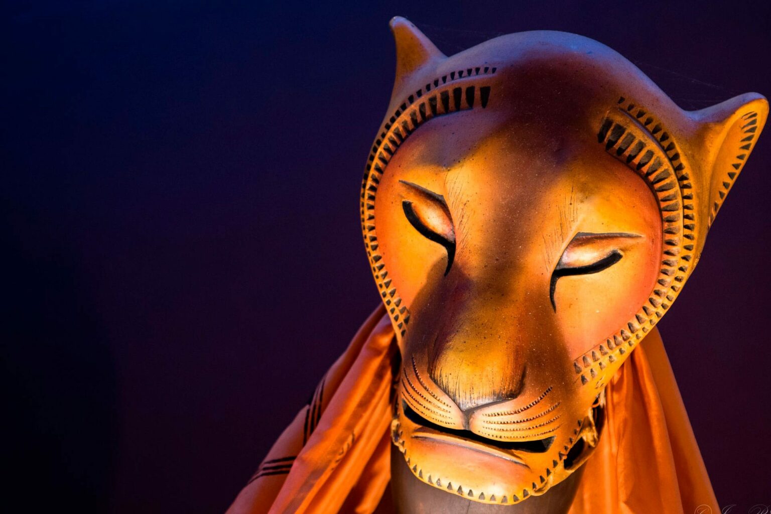 Hakuna Matata – “Der König der Löwen”