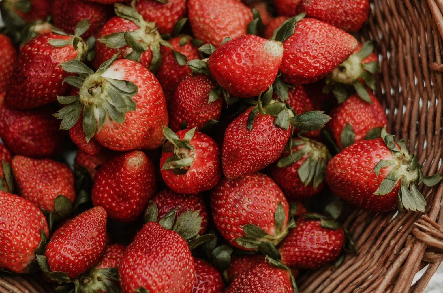 Morango: “Fresa” ou “Frutilla” em espanhol?