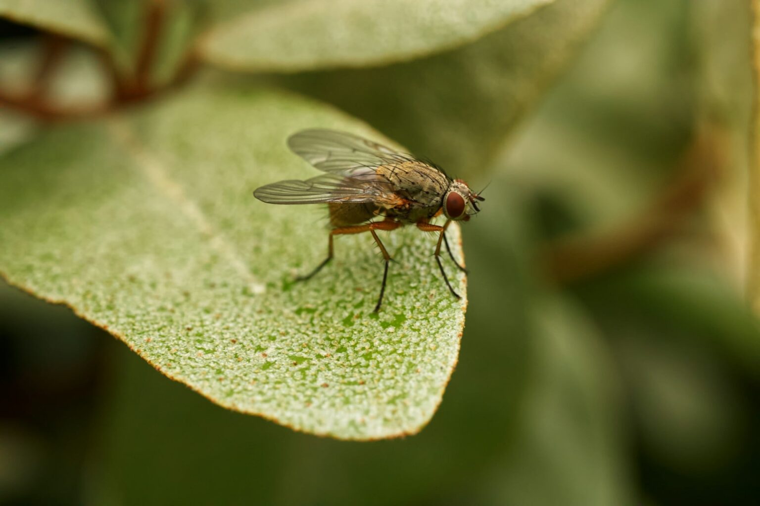 Como falar “na mosca” em espanhol