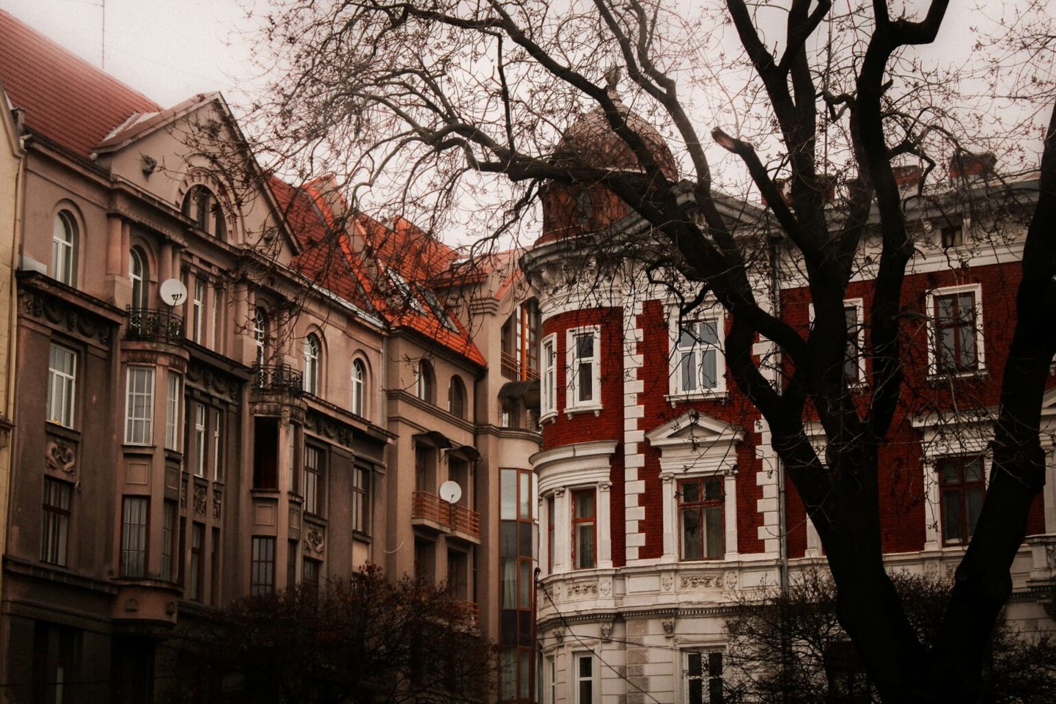 Prédios antigos de fachadas ornamentadas, um deles de tijolos vermelhos com detalhes brancos, atrás de uma árvore sem folhas
