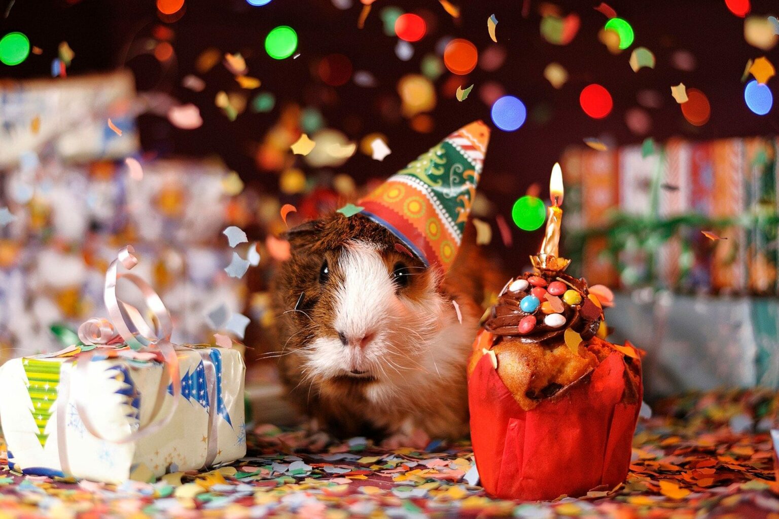 Como se diz “feliz aniversário” em francês