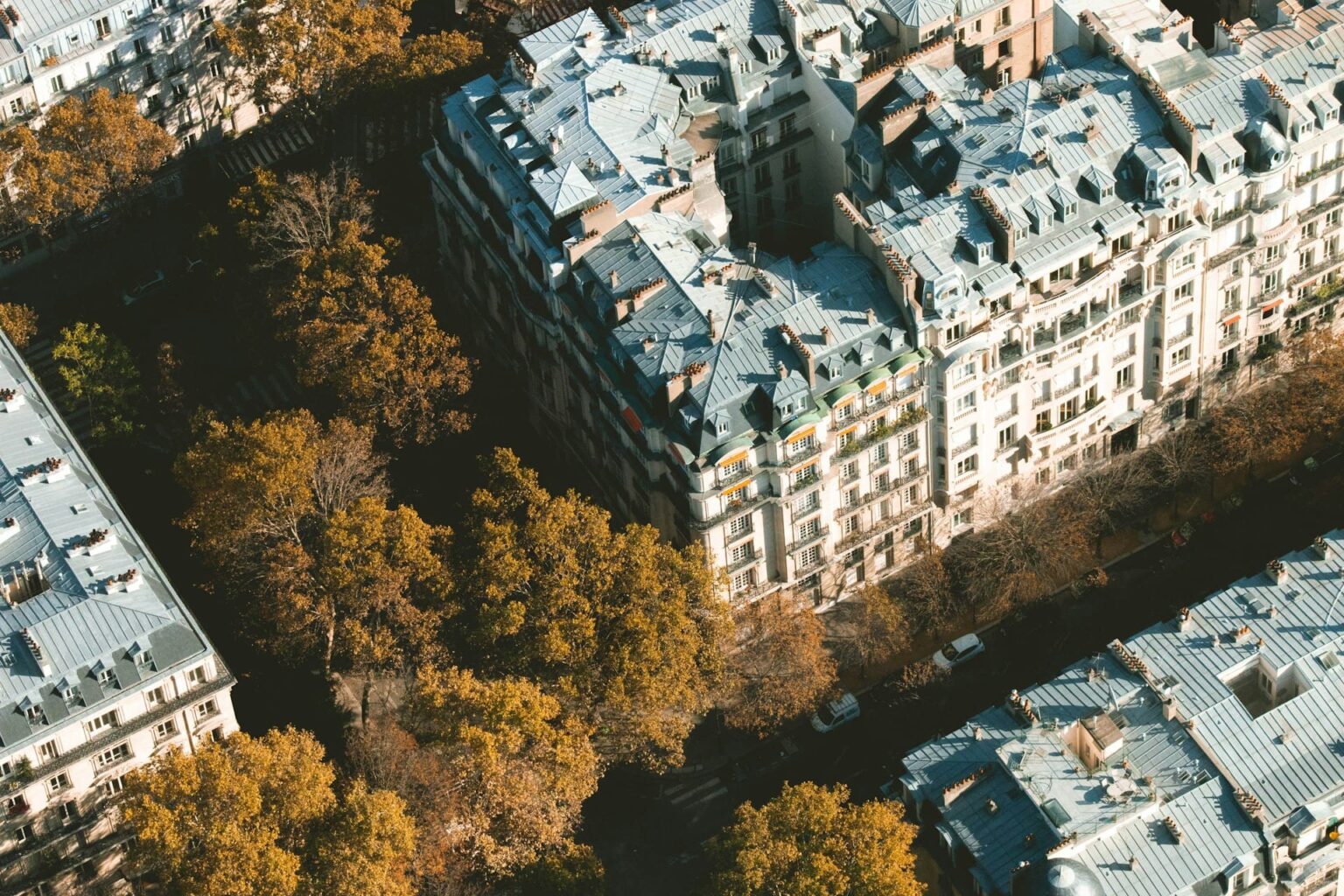 Diferenças entre “qu’est-ce que”, “que” e “quoi” em francês
