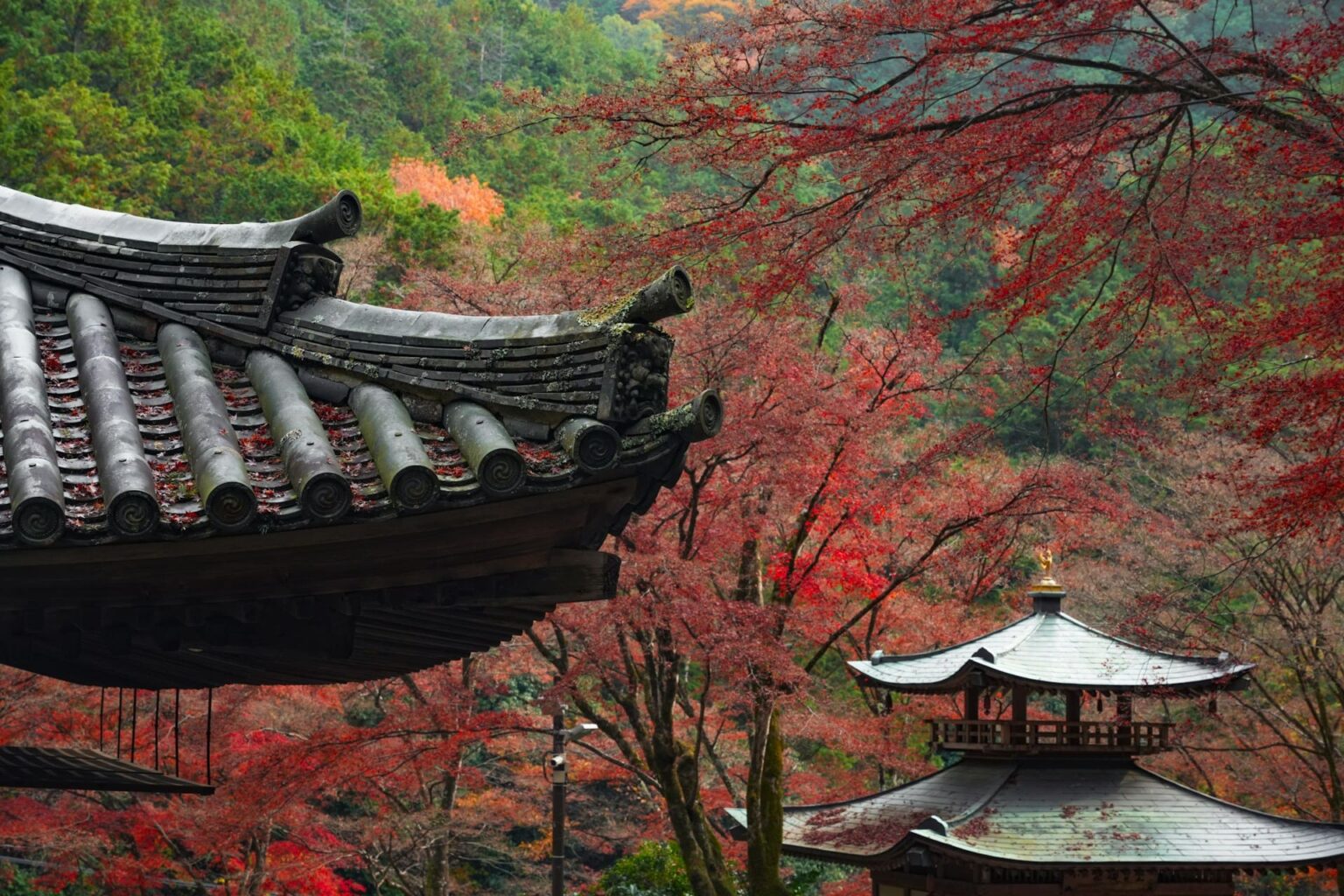 Verbos (動詞) em japonês: forma て, querer e poder Beiral de telhado de templo e pavilhão de dois andares entre bordos vermelhos de outono