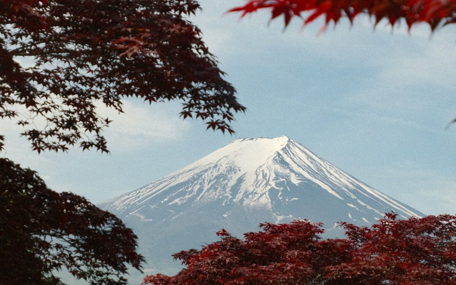 Pronomes (代名詞) em japonês Monte Fuji com o topo coberto de neve, emoldurado por galhos de bordo vermelho