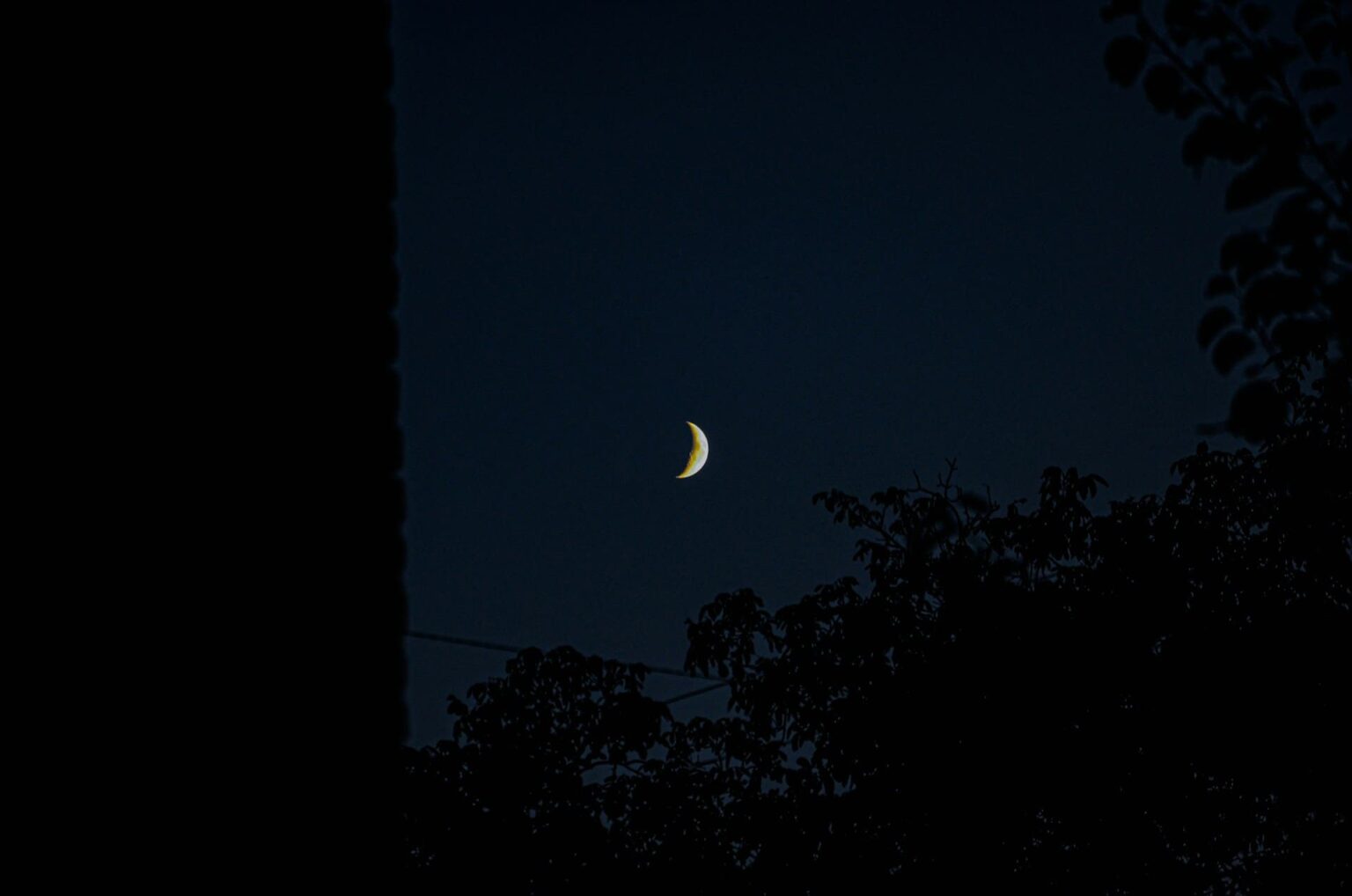 Lua crescente no céu noturno, entre a silhueta de árvores