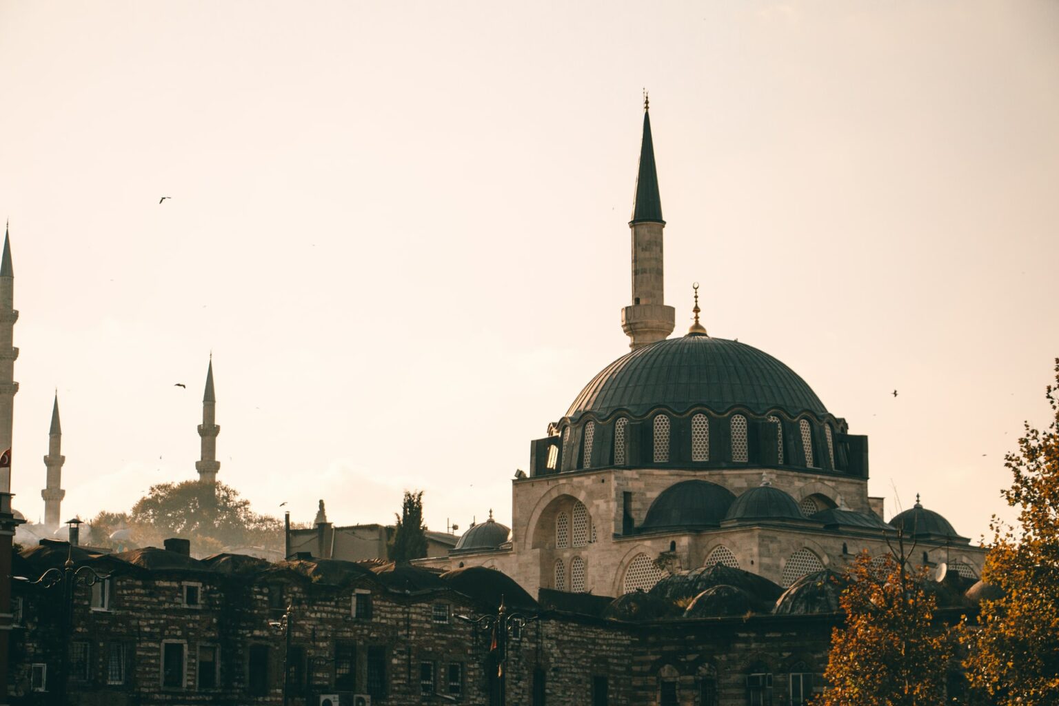 Estudo mostra que origem dos idiomas europeus está na Turquia imagem destacada - mesquita em Istambul