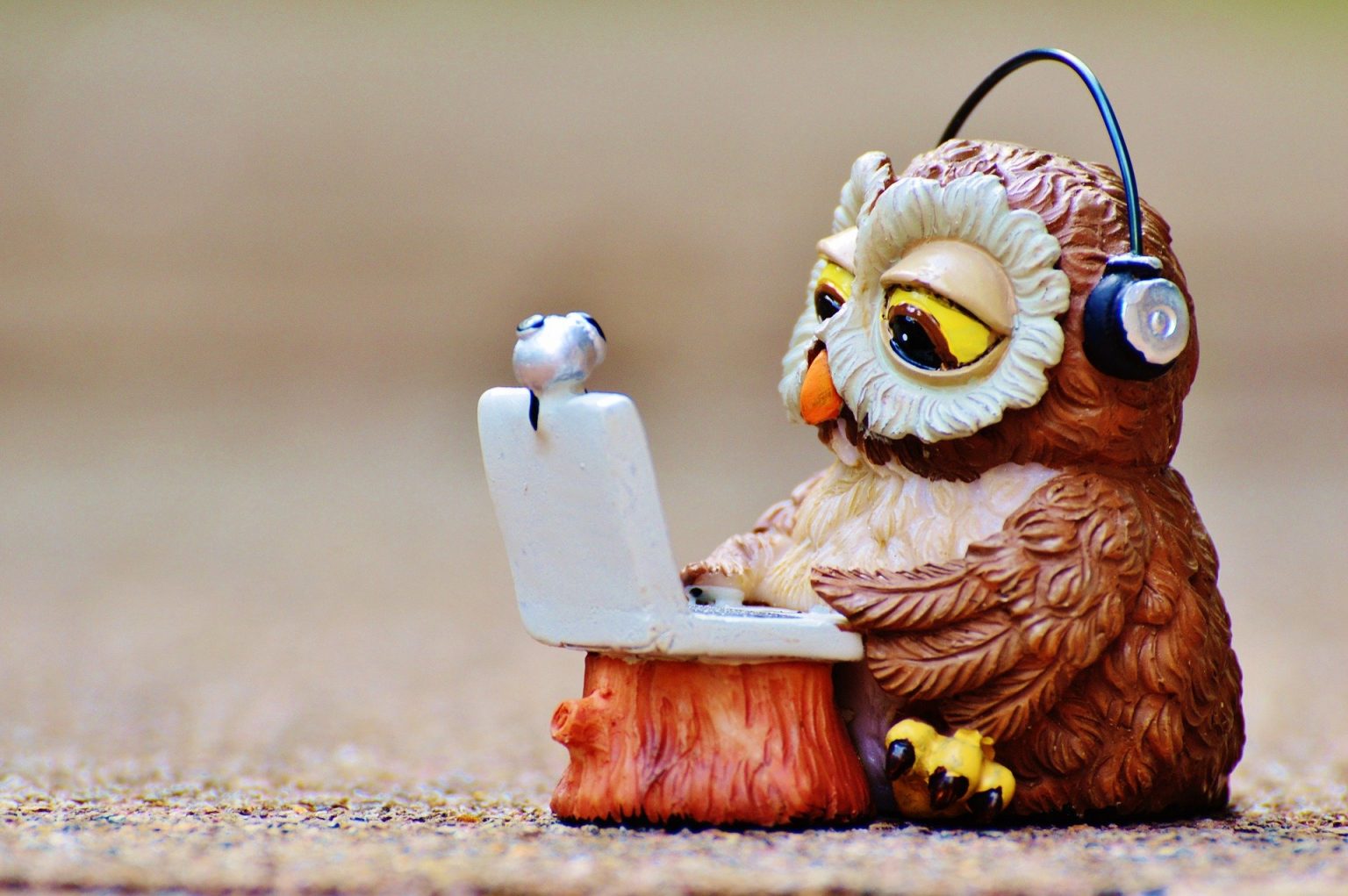 12 plataformas de e-learning que você precisa conhecer