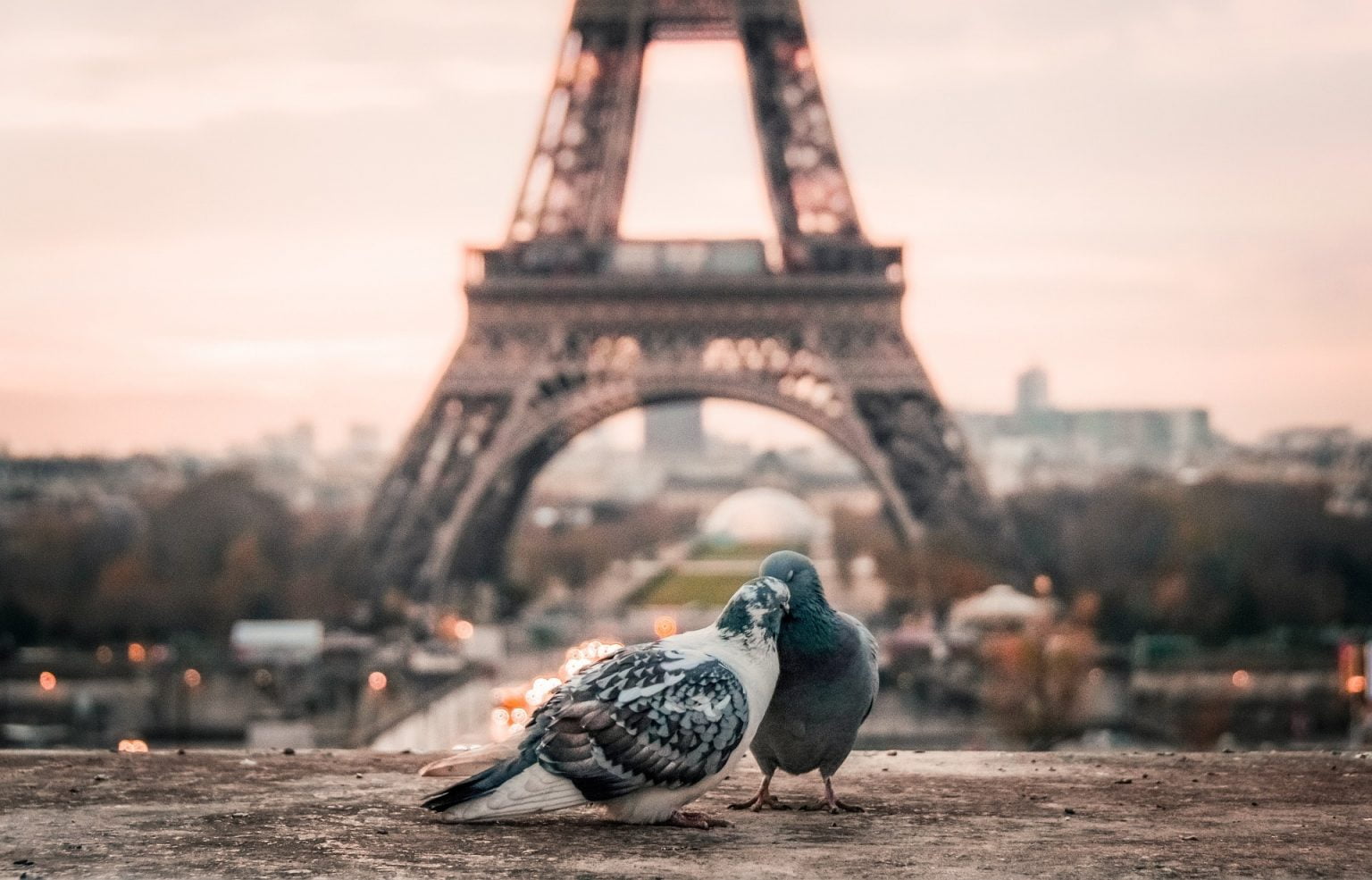 Como dizer “eu te amo” em 10 idiomas