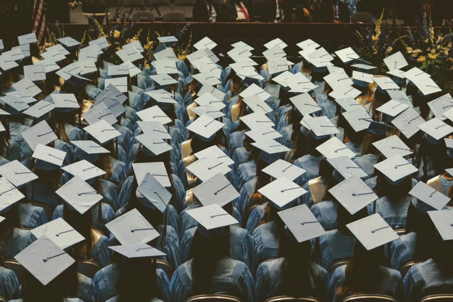 Ex-executivos do Duolingo criam startup com foco na educação universitária